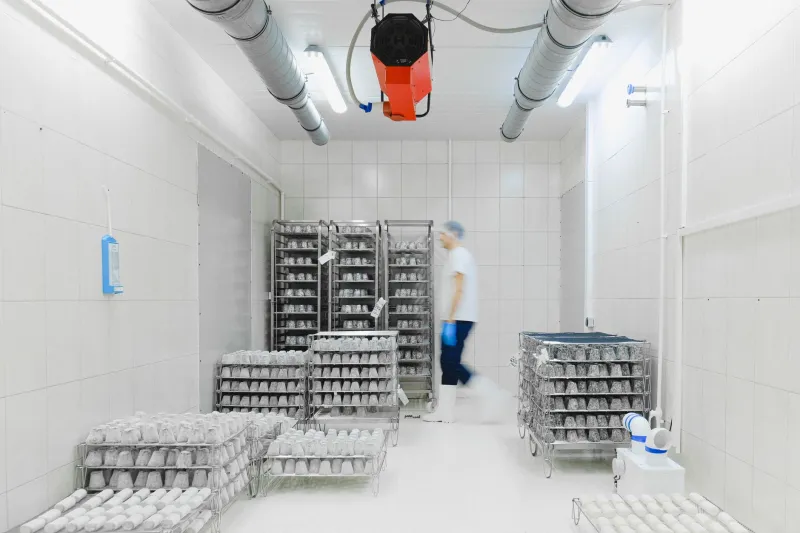 Cold Chain, Hot Returns: Why Pharmaceutical Logistics Real Estate Is Becoming Commercial Property's Most Compelling Niche