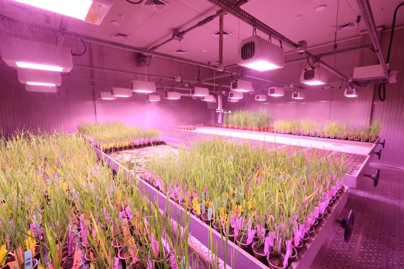 Roots in the Rafters: How Indoor Farming Is Forging a New Commercial Real Estate Asset Class in America's Cities